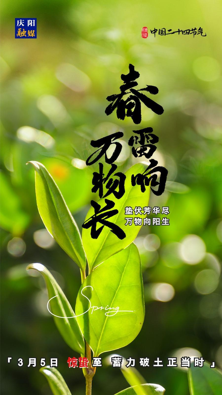 【微海報(bào)】二十四節(jié)氣丨驚蟄至，蓄力破土正當(dāng)時(shí)